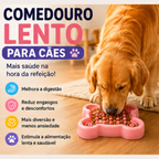 Comedouro Lento Cachorro Anti Engasgo Ração Pet 19,5cm